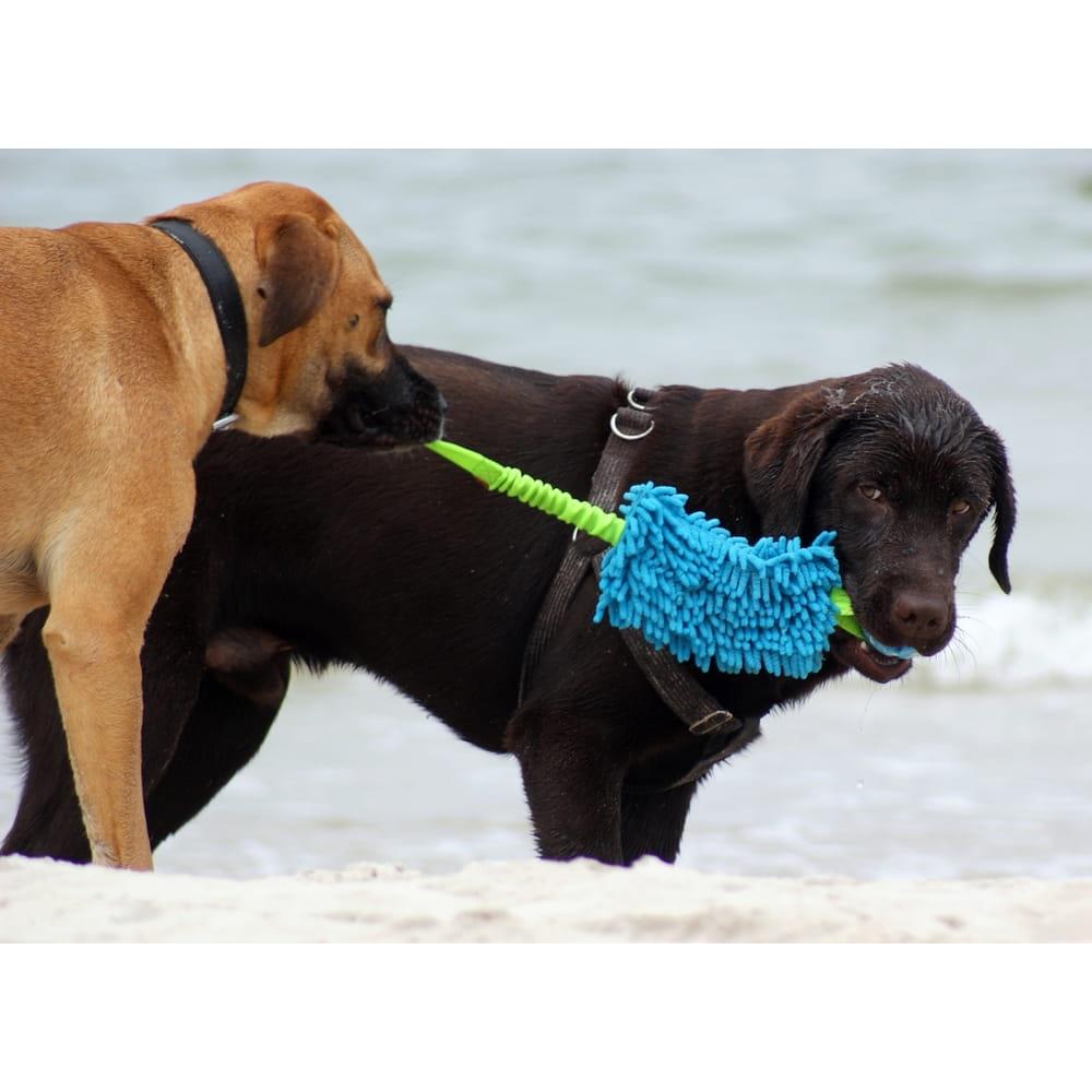 Hundespielzeug Mopp mit Ball Zerrspielzeug mit Stoßdämpfer 46 cm grün blau bunt ,Dingo,15587, 5904760155879